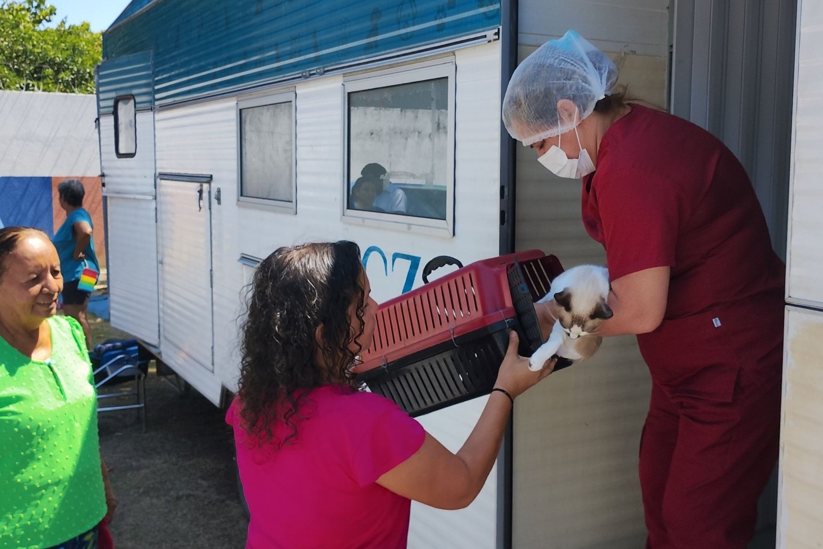 Manaus oferece castração gratuita para cães e gatos através do CCZ
