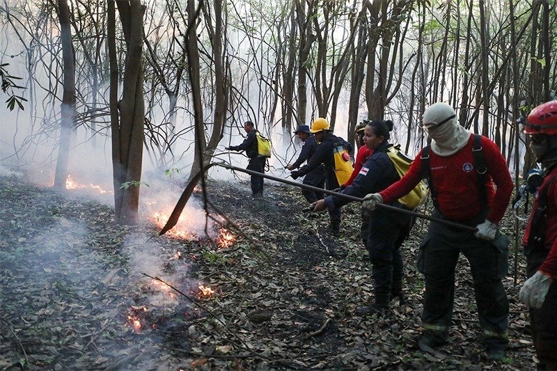 Amazonas reduz desmatamento e queimadas com ações integradas de fiscalização