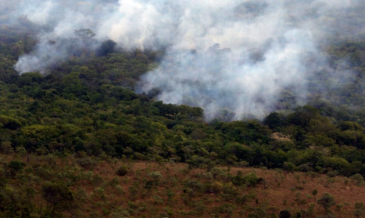 África e Ásia lideram redução das emissões globais por incêndios em 2026