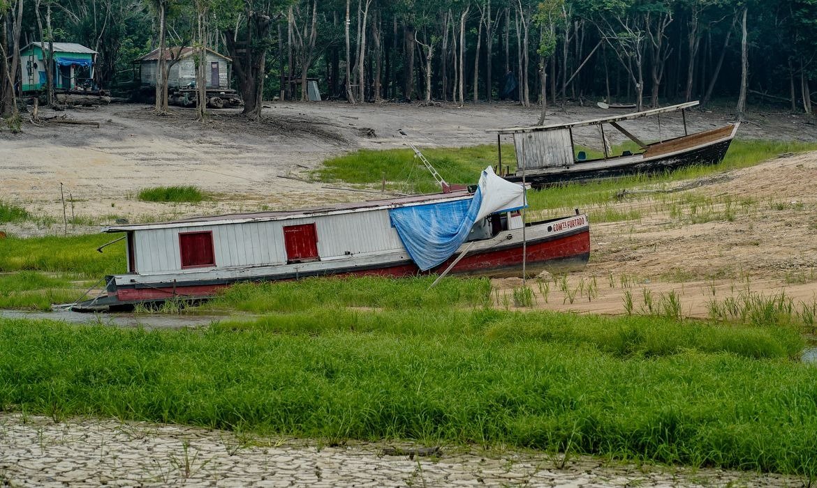 COP17 busca transformar planos contra seca em ações práticas