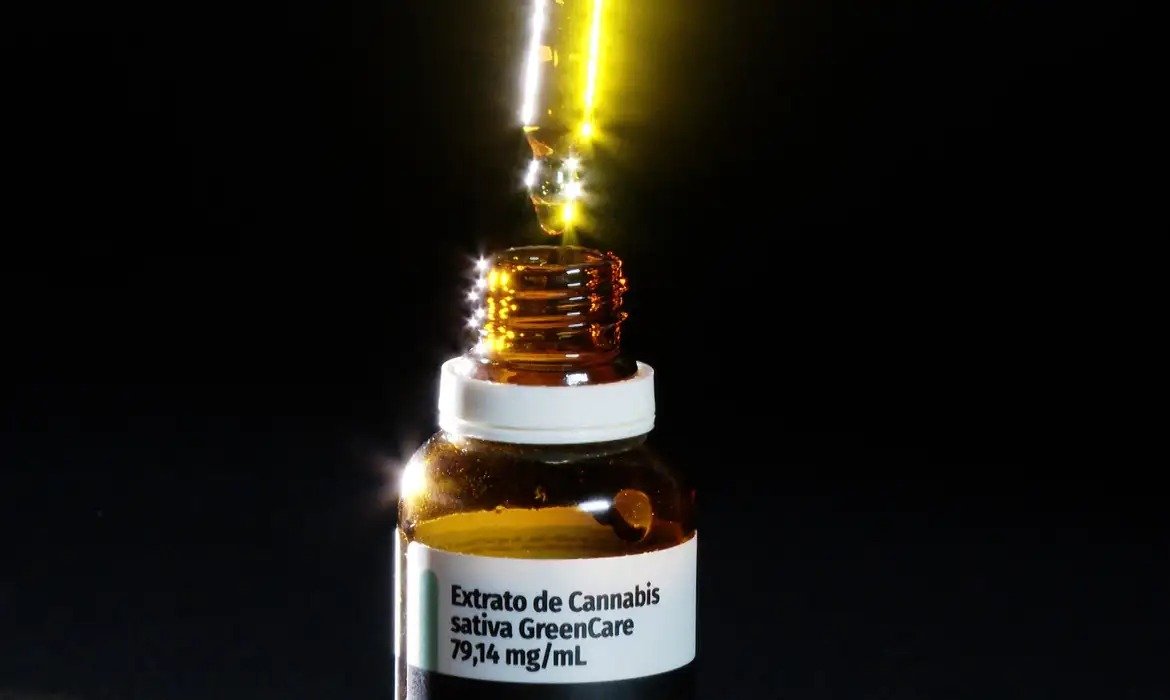 Número de autorizações para cannabis medicinal aumenta no primeiro semestre