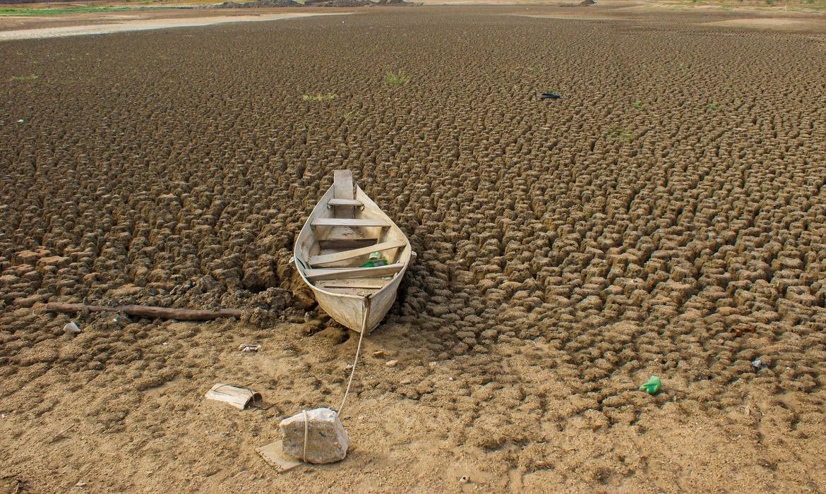 Cerca de 42,6% da vegetação nativa da Caatinga já foi suprimida