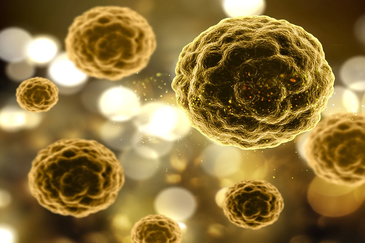 Hepatite B: estudo busca identificar fatores que influenciam a doença
