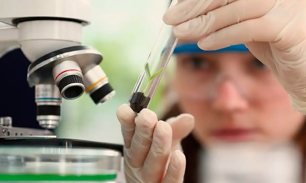 Prêmio Carolina Bori já reconheceu 37 cientistas e abre nova seleção