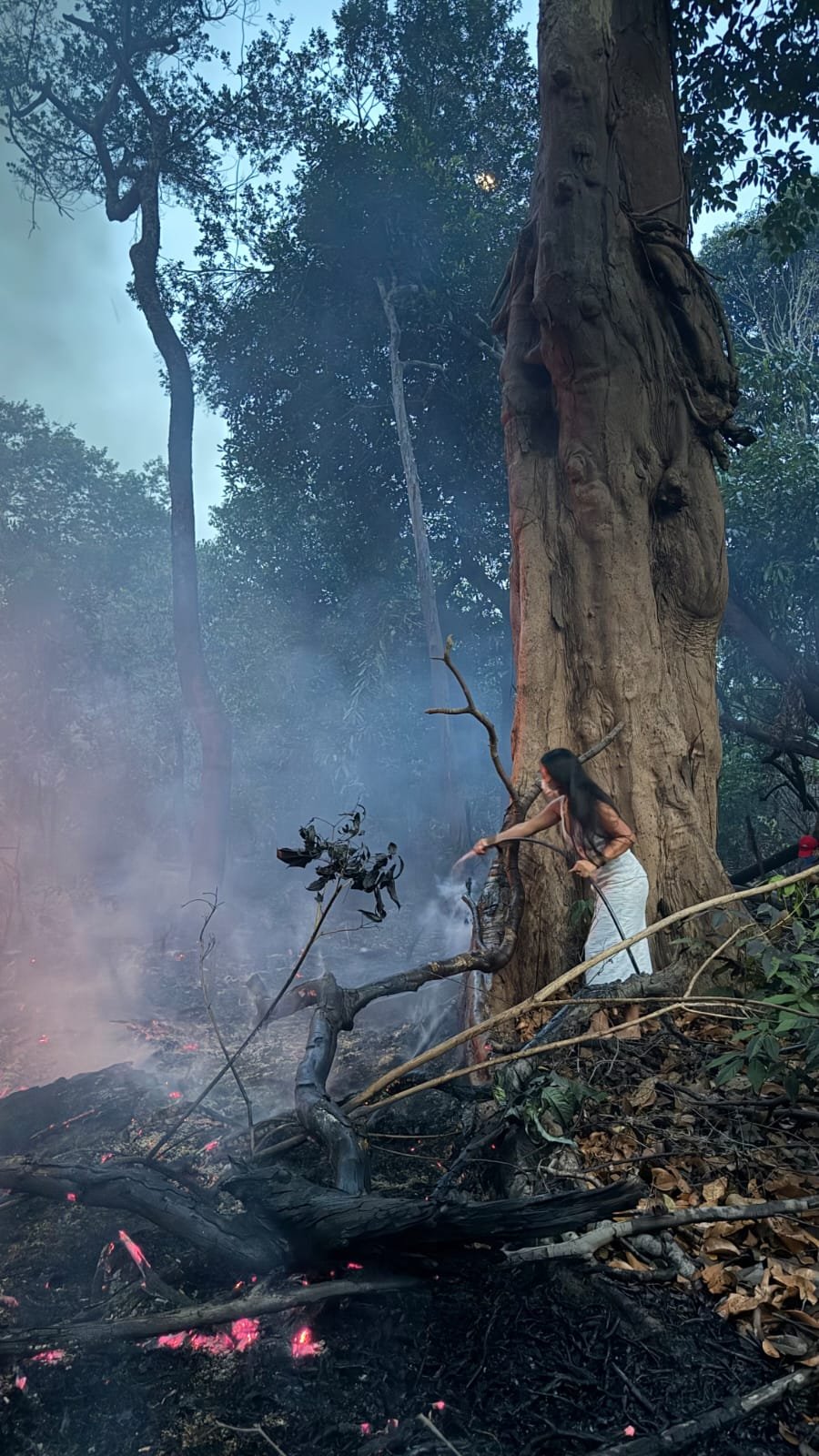 Chamas em área verde preocupam moradores em Manaus